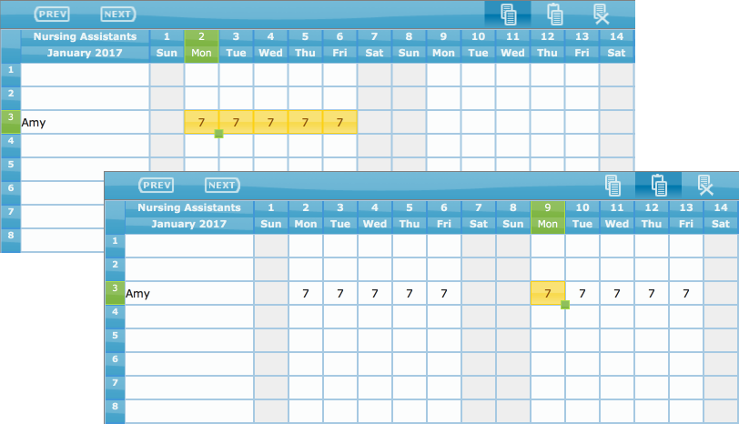 copy and paste highlighted cells